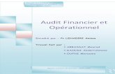 Audit Operationnel