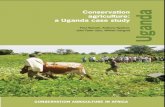 Conservation agriculture - Betuco Agriculture -  ¢  and the African Conservation Tillage Network