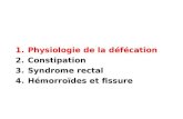 Physiologie de la d©f©cation Constipation Syndrome rectal H©morro¯des et fissure
