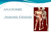 ANATOMIE Anatomie G©n©rale - institut- .Anatomie descriptive Anatomie de surface Anatomie topographique