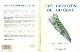 LES LEZARDS DE GUYANE LES LEZARDS GUYANE (1990) Les l©zards de Guyane...  La Guyane fran§aise appartient