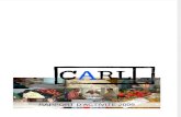 CARL Rapport Activite 2009