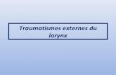 Traumatisme externe du larynx