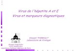 Thibault Virus A Et E