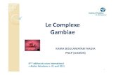 Le Complexe Gambiae