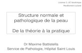 Structure normale et pathologique de la peau De la l3bichat2013-2014. Structure normale et pathologique