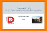 Terminale STMG - 2018. 4. 17.آ  2 - Classe terminale Enseignements obligatoires communs Disciplines
