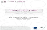 Rapport dde stage - ... 9 M2-IM Rapport de stage 2008 - 2009 taine lus de 150ans de mأ©tier derriأ¨re