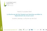 LUXEMBOURG CREATIVE 21/10/2014 :  La Ruche qui dit Oui! Quand une franchise acc©l¨re le d©ploiement du circuit court