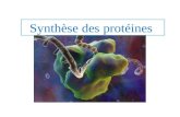 Synth¨se des prot©ines. Fonction des prot©inesprot©ines