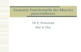Anatomie Fonctionnelle des Muscles paravert©braux Dr F. Poissenot Bar le Duc