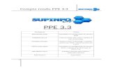 PPE3 - Compte rendu