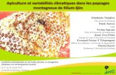 Forest climate change apiculture Cameroon