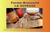 Ferme Brasserie La Soyeuse 2 - Le brassage