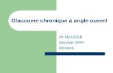 Glaucome chronique   angle ouvert Dr HEUSSE Service OPH Rennes