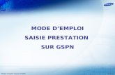 Mode Emploi Saisie GSPN MODE DEMPLOI SAISIE PRESTATION SUR GSPN 29.05.2009