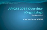 APIGM  2014  Overview ( Organizing)