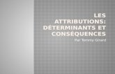 Les attributions: D©terminants et Cons©quences