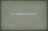 Le  subjonctif  pass©