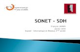 Franois JANNIN Janvier 2010 Expos Informatique et ... dr/XPOSE2009/SONET-SDH/files/presentation/...SONET / SDH, palier aux dfauts de PDH SONET Synchronous Optical Network (USA) SDH