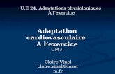 Adaptation cardiovasculaire € lexercice Claire Vinel  @inserm.fr U.E 24: Adaptations physiologiques € lexercice CM3