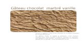 Gateau au Chocolat marbre de Vanille