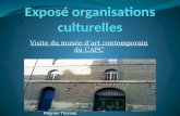 Expos© organisations culturelles