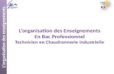 Lorganisation des enseignements Lorganisation des Enseignements En Bac Professionnel Technicien en Chaudronnerie Industrielle