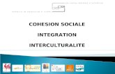 COHESION SOCIALE INTEGRATION INTERCULTURALITE