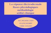 La r©ponse ©lectrodermale Bases physiologiques m©thodologie utilit© clinique M.C.PELIER-CADY P.LONCHAMPT CHRU ANGERS