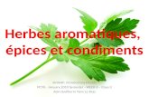 Bc004 F Pct8 Jan10 Week6 Class3 Herbes Aromatiques Blog Version