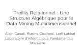 Treillis Relationnel : Une Structure Alg©brique pour le Data Mining Multidimensionnel