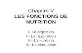 Chapitre V LES FONCTIONS DE NUTRITION I- La digestion II- La respiration III- Lexcr©tion IV- La circulation