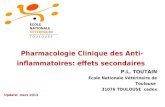 Pharmacologie Clinique des Anti-inflammatoires: effets secondaires P.L. TOUTAIN Ecole Nationale V©t©rinaire de Toulouse 31076 TOULOUSE cedex ECOLE NATIONALE