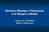 Membrane Plasmique, lHom©ostasie, et le Transport Cellulaire Auteur: K. Schofield ‰dit©: S MacInnes