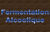 La fermentation alcoolique alan y dano