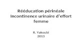 R©©ducation p©rin©ale Incontinence urinaire deffort femme R. Yakoubi 2013