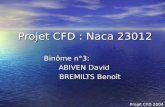 Projet CFD : Naca 23012 Bin´me n°3: ABIVEN David BREMILTS Beno®t BREMILTS Beno®t Projet CFD 2004