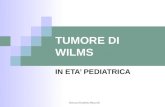 Dott.ssa Elisabetta Muccioli TUMORE DI WILMS IN ETA PEDIATRICA