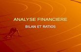 Analysefinancirebilanratios 130222045716-phpapp01