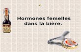 09 selon-les-hommes-il-y-aurait-des-hormones-femelles-dans-la-biere