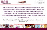 En situation de catabolisme musculaire, les protéines de ... situation_JFN... · PDF file Anabolisme Gain Muscle Perte Muscle Repas Repas - 87 mmoles/kg. Conclusions Perspectives