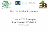 Biochimie des Protéines - EcoFoG ... Biochimie des Protéines Licence STS Biologie-Biochimie UEO26 L3 Vincent Vedel Chap. 7 : Interactions protéiques 7.1 Interactions protéines-protéines