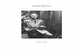 André Breton - ... · PDF file 2011-06-03 · André Breton (1896-1966) à Pierre Mabille Je ne suis pas pour les adeptes Je n'ai jamáis habité au lieu dit La Grenouillière La