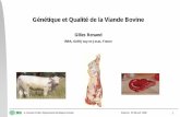 Génétique et Qualité de la Viande . Programas/Renand1.pdf Rendement en Viande commercialisable Qualités de la Viande. G. Renand, SGQA, Département Génétique Animale Valencia