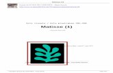 Arts visuels / Arts plastiques CM1-CM2 Matisse (1) · PDF file Matisse (1) Depuis notre retour des vacances d'hiver, nous avons poursuivi notre découverte du peintre Henri Matisse