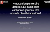 Hypertension pulmonaire associée aux pathologies ... filePlan 1. Classification et définition 2. Importance du problème 3. Pathophysiologie 4. Impact pronostique 5. Comment mesurer