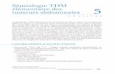 Sémiologie TDM élémentaire des 5 tumeurs · PDF fileCICATRICE CENTRALE (CENTRAL SCAR) 67 CICATRICE CENTRALE (CENTRAL SCAR) – Description TDM ( fig. 5-3 ) : zone tissulaire (non