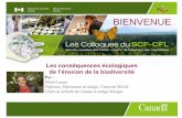 Aucun titre de diapositive - Partenariat Innovation Forêt decembre... · PDF fileLes conséquences écologiques . de l’érosion de la biodiversité. Par : Michel Loreau. Professeur,