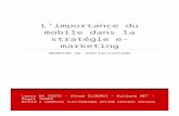 Memoire Specialisation M2 - L'importance du mobile dans la stratégie e-marketing
